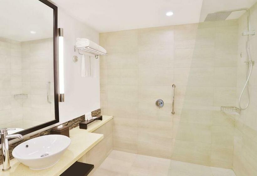 اتاق سوپریور, Radisson Blu Resort Fiji