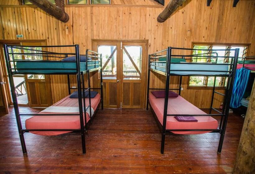 共用房间的床, Uprising Beach Resort