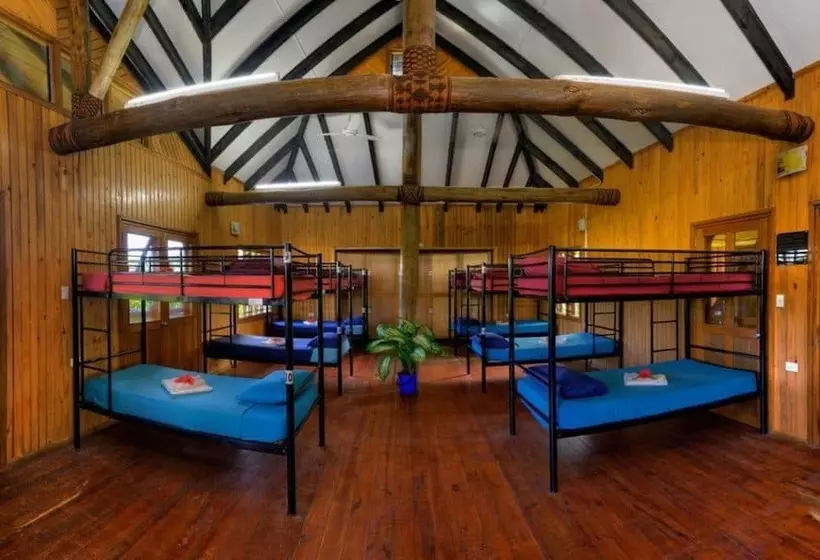 تختخواب در اتاق مشترک, Uprising Beach Resort