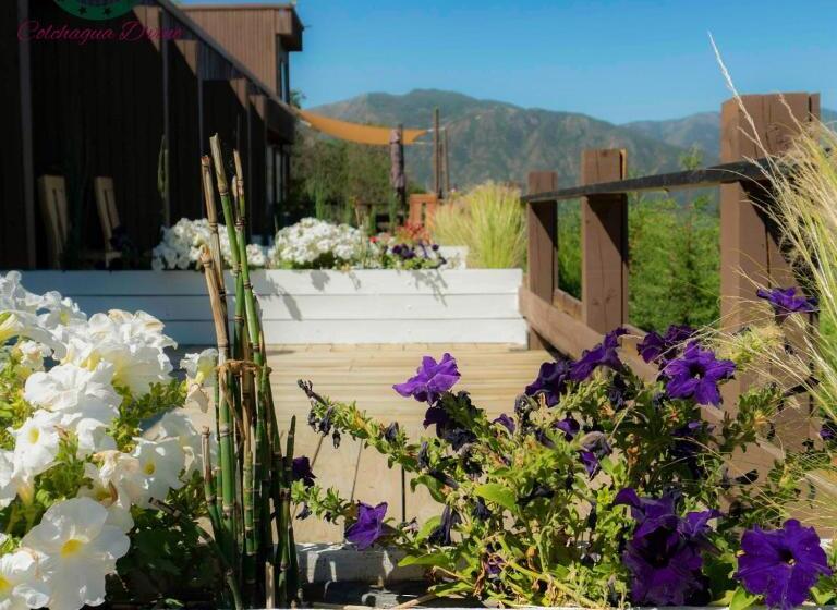 اتاق لوکس با بالکن, Colchagua D Vino