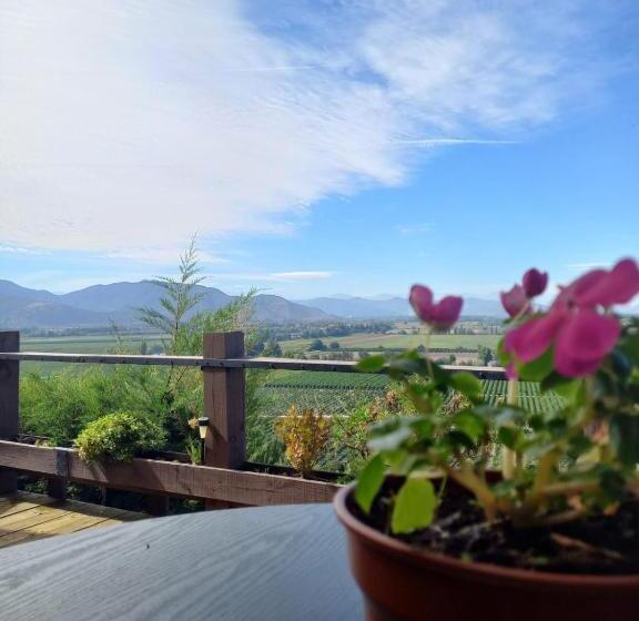 اتاق لوکس با تخت بزرگ, Colchagua D Vino