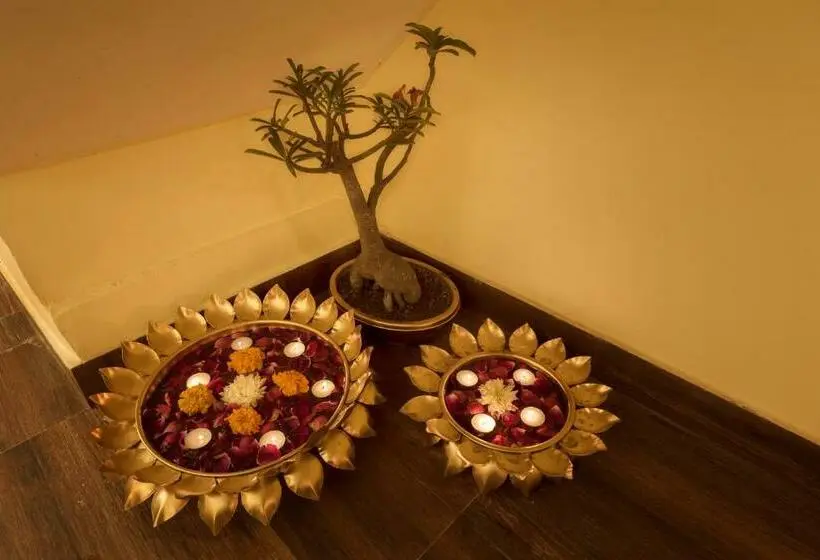 Chambre Deluxe, Sethi Legacy