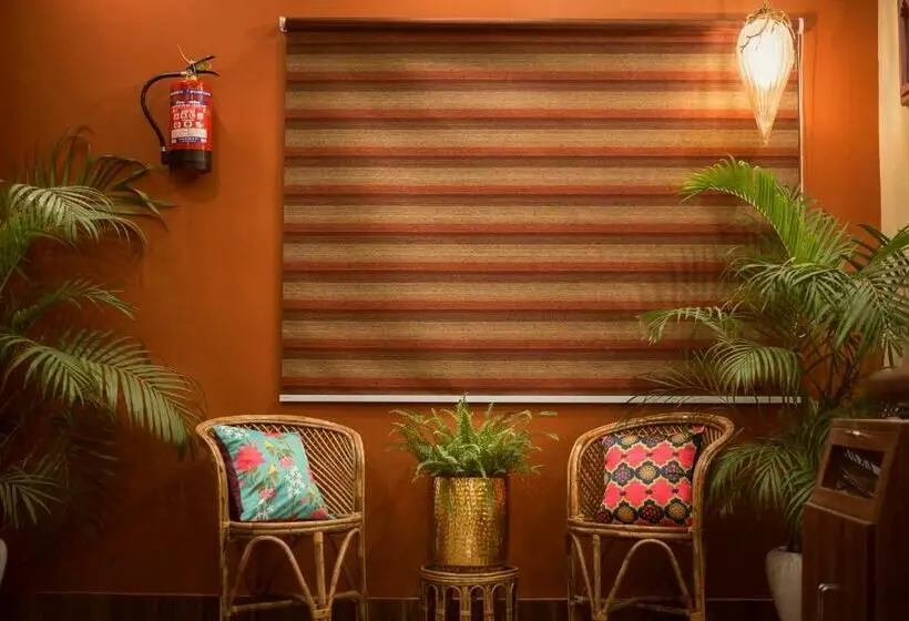 Chambre Deluxe, Sethi Legacy