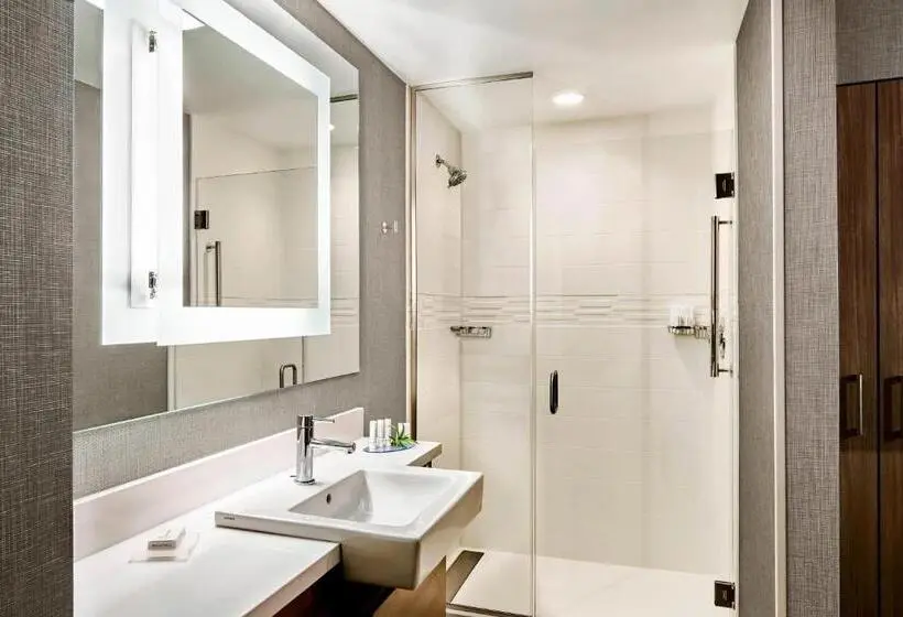 キングサイズベッドのスイートルーム, Springhill Suites By Marriott Anaheim Placentia Fullerton
