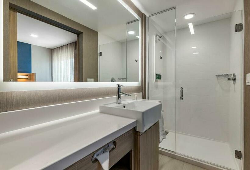 Люкс Кровать Кинг, Springhill Suites By Marriott Anaheim Placentia Fullerton