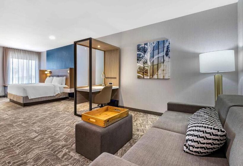 Люкс Адаптированный для Инвалидов, Springhill Suites By Marriott Anaheim Placentia Fullerton