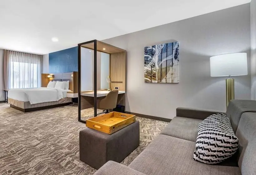 スイート, Springhill Suites By Marriott Anaheim Placentia Fullerton