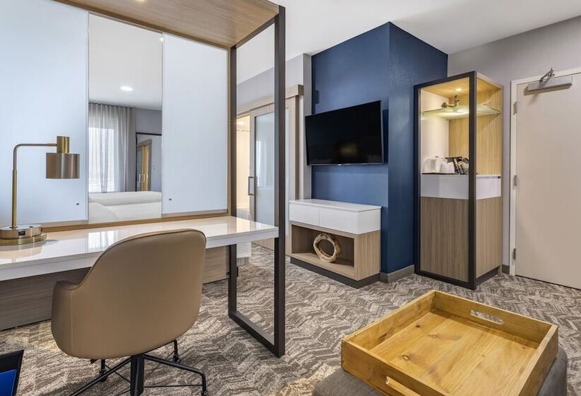 Люкс, Springhill Suites By Marriott Anaheim Placentia Fullerton