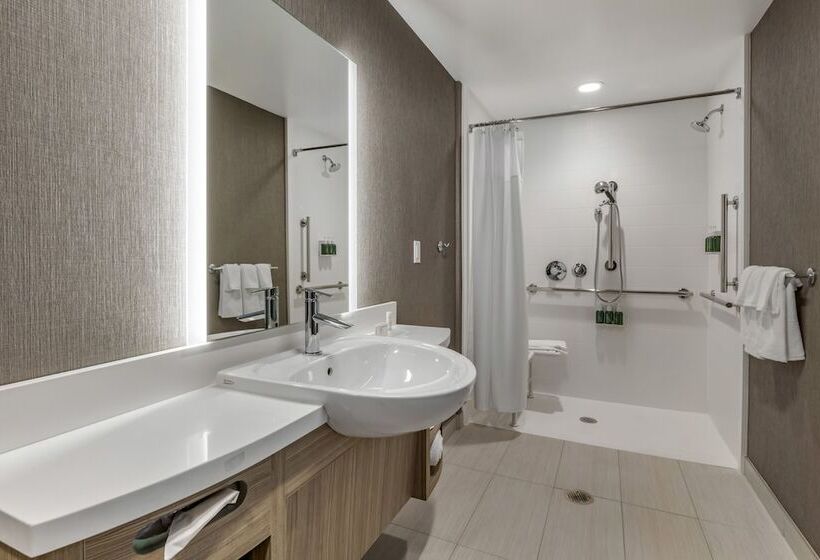 Люкс, Springhill Suites By Marriott Anaheim Placentia Fullerton