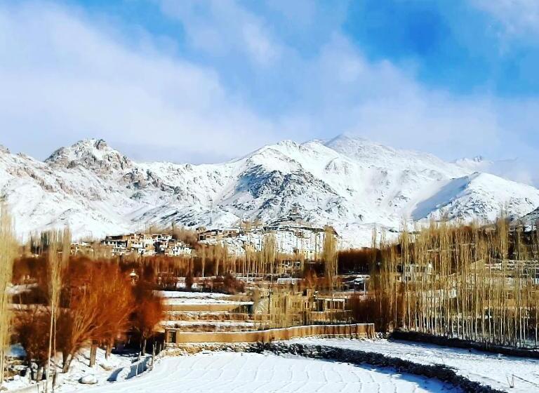 Номер Стандарт Вид на Сад, Ladakh Country Inn