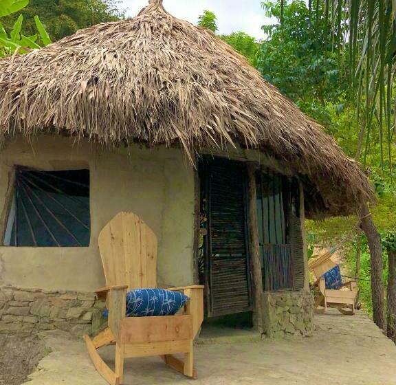 اتاق استاندارد با سرویس بهداشتی مشترک, Puerto Alto