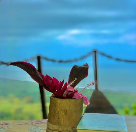 اتاق لوکس با چشمانداز دریا, Puerto Alto