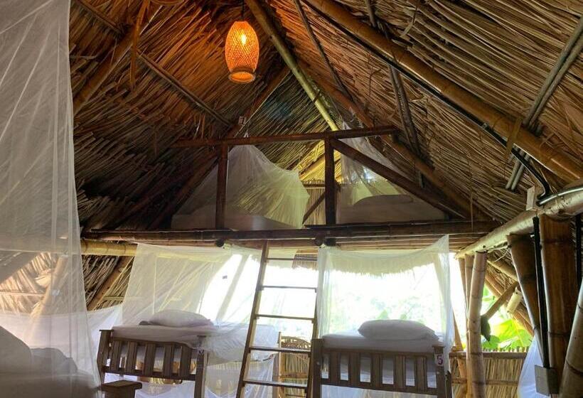 تختخواب در اتاق مشترک, Puerto Alto