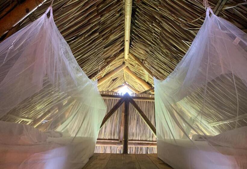 تختخواب در اتاق مشترک, Puerto Alto