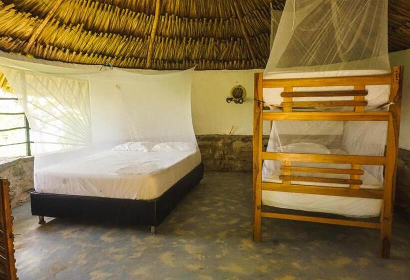 اتاق خانوادگی, Puerto Alto