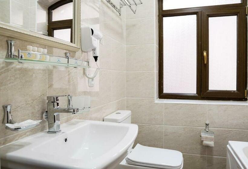 اتاق استاندارد, Level