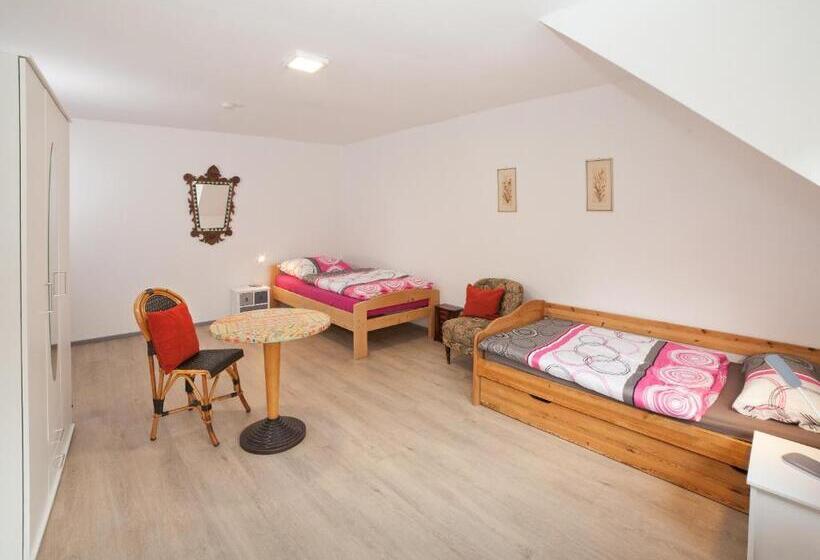 Номер Стандарт Совместная Ванная, Haus Haas Zimmer&fewo