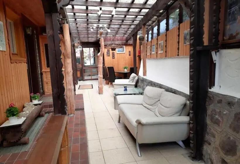 Einzelzimmer mit Terrasse, Haus Waldeck