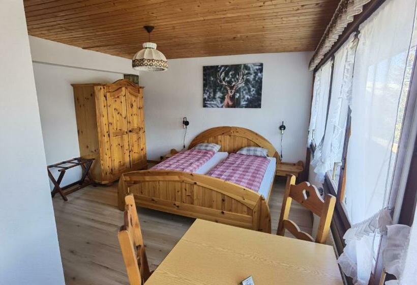 Номер Стандарт, Auberge La Tzoumaz