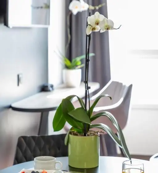 スタンダードルーム, Nemea Appart Hotel Europe Velizy Villacoublay
