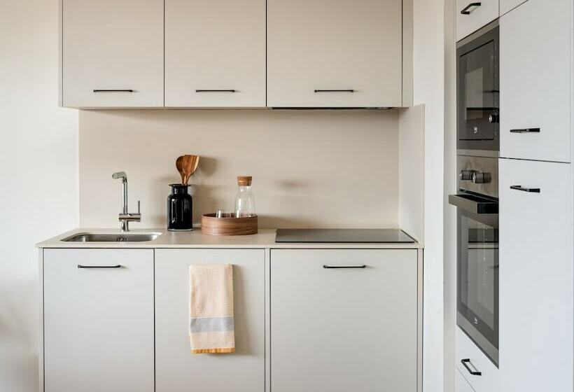 Апартаменты Пентхаус 1 Спальня, Apartahotel Líbere Vitoria