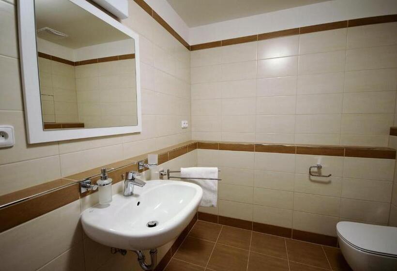 テラス付き１ベッドルームアパートメント, Apartmány Viva Třeboň