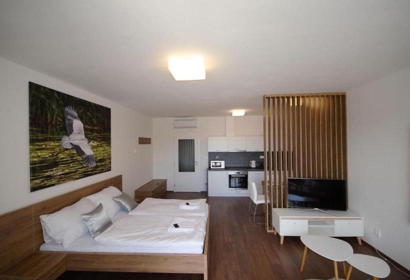 １ベッドルームのスーペリアアパートメント, Apartmány Viva Třeboň
