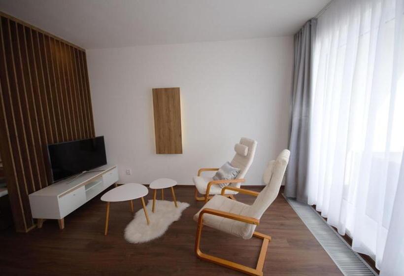 １ベッドルームのスーペリアアパートメント, Apartmány Viva Třeboň