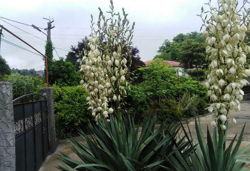 اتاق اکونومی, Guest House Imeda