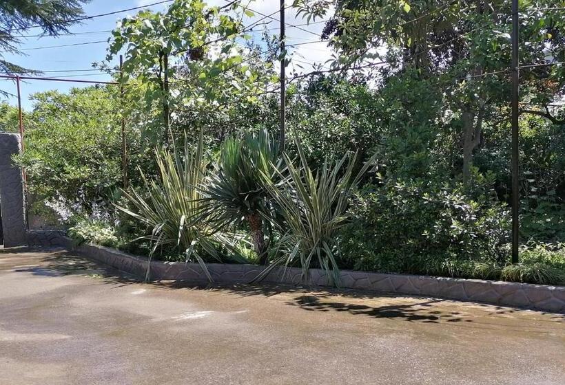 اتاق استاندارد سه نفره, Guest House Imeda