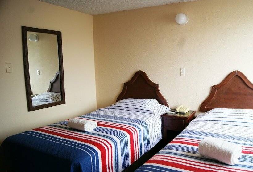 스탠다드 룸, Arbol Grande