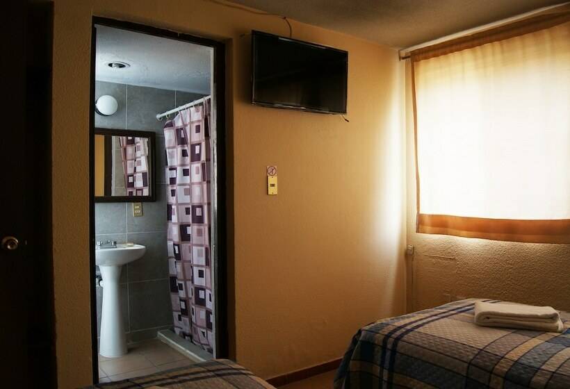 스탠다드 룸, Arbol Grande