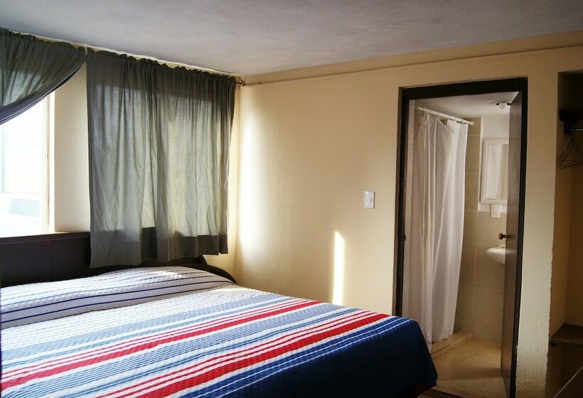 4인용 스탠다드 룸, Arbol Grande