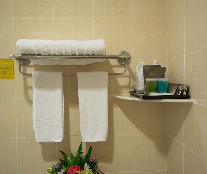 デラックスルーム, Aseania Resort Langkawi