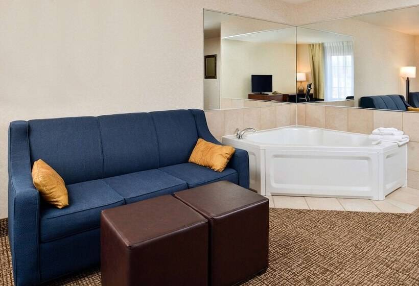 장애인을 위한 스위트, Comfort Inn & Suites Madison North