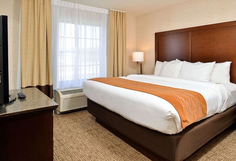 Suíte para Deficientes Físicos, Comfort Inn & Suites Madison North