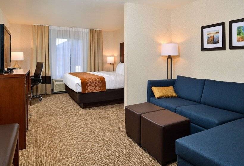 Suíte para Deficientes Físicos, Comfort Inn & Suites Madison North