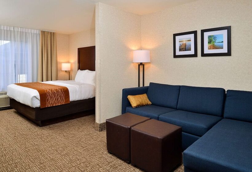 جناح لذوى الاحتياجات الخاصة, Comfort Inn & Suites Madison North
