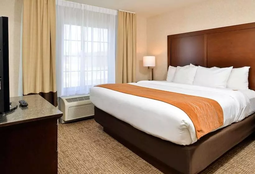 身障者適用スイートルーム, Comfort Inn & Suites Madison North