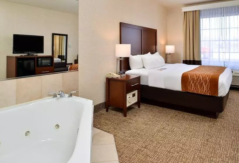 身障者適用スイートルーム, Comfort Inn & Suites Madison North