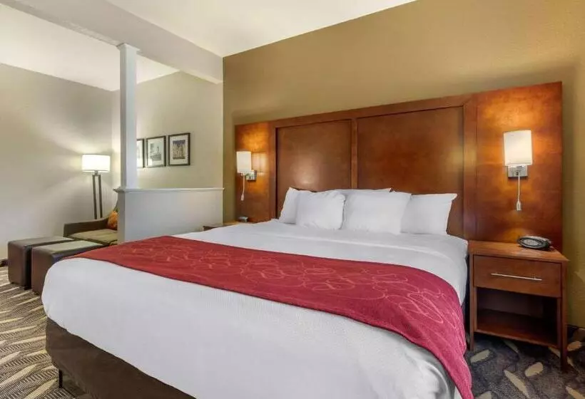 キングサイズベッドのスイートルーム, Comfort Suites