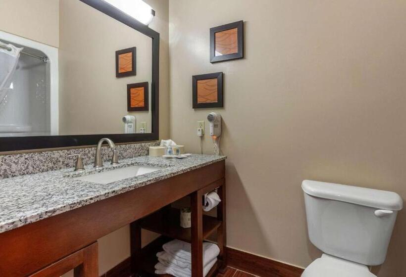 جناح سرير كينج, Comfort Suites