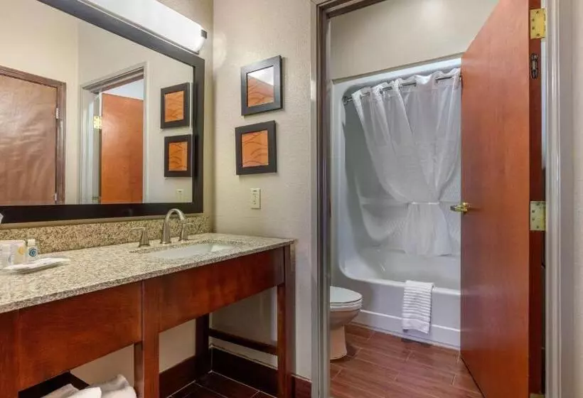 身障者適用スイートルーム, Comfort Suites