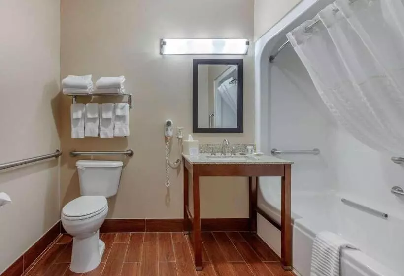 身障者適用スイートルーム, Comfort Suites