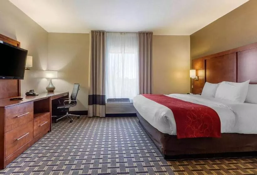 身障者適用スイートルーム, Comfort Suites