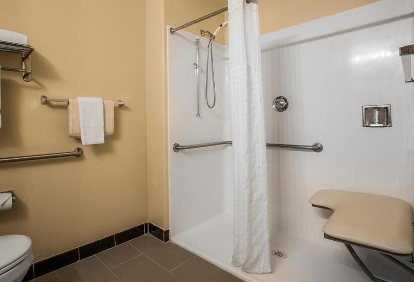 جناح لذوى الاحتياجات الخاصة, Comfort Suites Victorville Hesperia