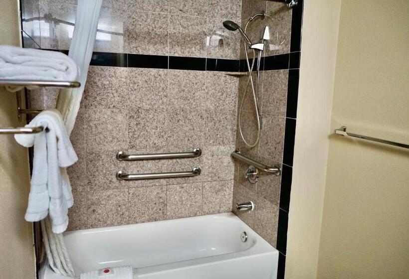 جناح لذوى الاحتياجات الخاصة, Comfort Suites Victorville Hesperia