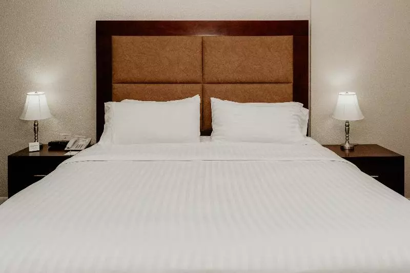 اتاق استاندارد با تخت بزرگ, Holiday Inn Durango, An Ihg