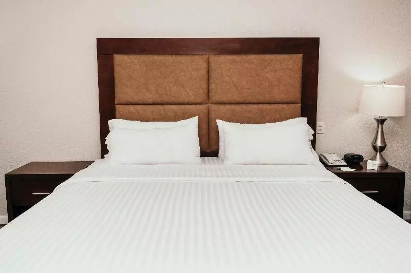 اتاق استاندارد با تخت بزرگ, Holiday Inn Durango, An Ihg