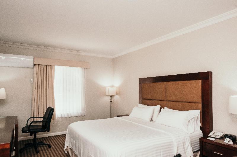 חדר סטנדרט עם מיטת קינג, Holiday Inn Durango, An Ihg